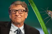 Bill Gates’in yapay sinekleri ortalığı karıştırdı