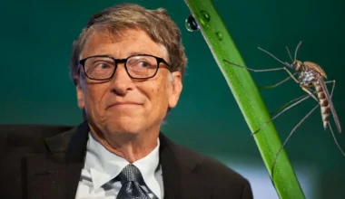 Bill Gates’in yapay sinekleri ortalığı karıştırdı Bill Gates’in yapay sinekleri ortalığı karıştırdı
