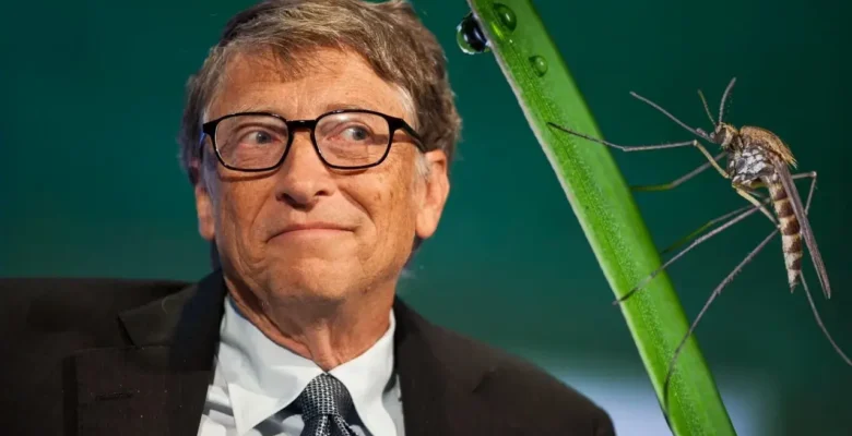 Bill Gates’in yapay sinekleri ortalığı karıştırdı