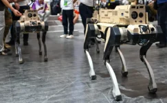 Çin ordusu robot kurt geliştirdi