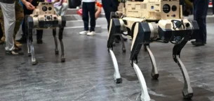 Çin ordusu robot kurt geliştirdi