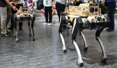 Çin ordusu robot kurt geliştirdi