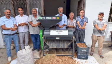 Mersin’de badem üreticisine teknolojik destek
