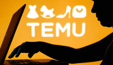 Temu için makus haber! Erişim mahzuru mi geliyor?