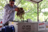 Antalya’da pekmez üreticisine teknolojik destek
