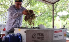 Antalya’da pekmez üreticisine teknolojik destek