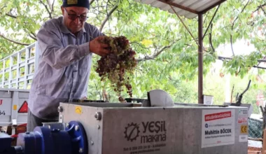 Antalya’da pekmez üreticisine teknolojik destek