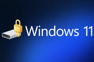 BitLocker tehlikesi: Windows bilgilerinizi sizden habersiz silebilir!