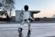 Dünyanın en ucuz insansı robotu geliyor