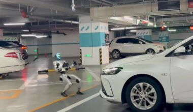 İnsansı robot değişik bir rekor kırdı