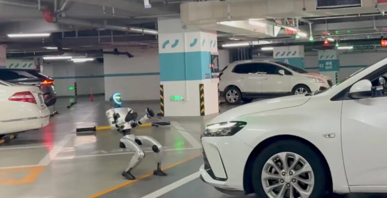 İnsansı robot değişik bir rekor kırdı