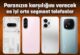 Paranızın hakkını verecek en yeterli orta segment telefonlar