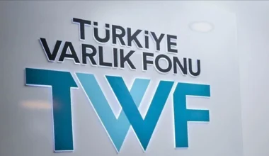 Türkiye Teknoloji Fonu ile Teşebbüs Ekosistemine Sağlanan Dayanak 100 Milyon Doları Aştı
