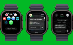 WhatsApp Apple Watch uygulaması geliyor