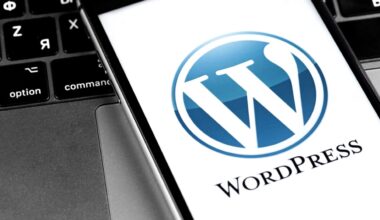 WordPress krizi büyüyor WordPress krizi büyüyor