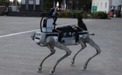 Yerli robot köpek geliştiriliyor