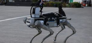 Yerli robot köpek geliştiriliyor