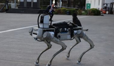 Yerli robot köpek geliştiriliyor