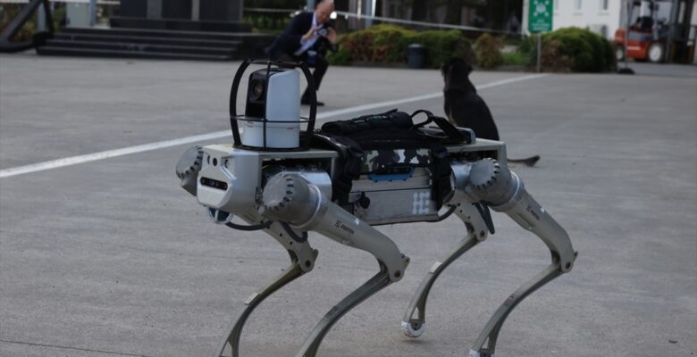 Yerli robot köpek geliştiriliyor