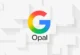 Google Opal Türkiye listesine dahil edilmedi