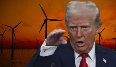 Trump Rüzgar Enerjisine Savaş Açtı!
