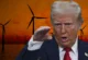Trump Rüzgar Enerjisine Savaş Açtı!