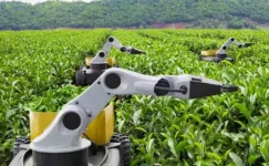 2026 “Kamusal Zekâ Yılı” ilan edildi