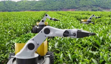 2026 “Kamusal Zekâ Yılı” ilan edildi