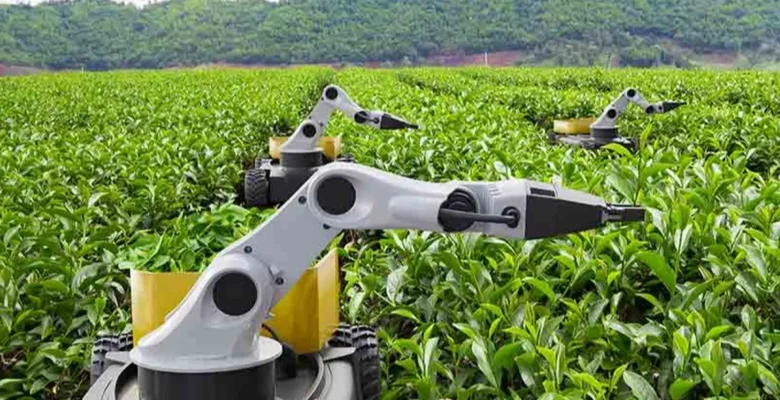 2026 “Kamusal Zekâ Yılı” ilan edildi