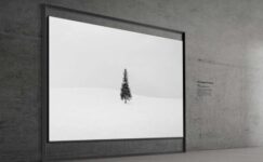 Samsung 130 inç Micro RGB TV Tanıtıldı