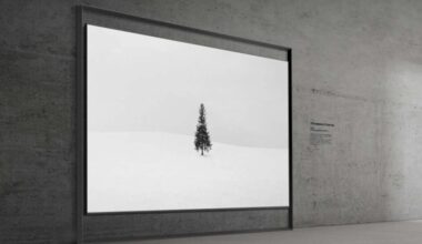 Samsung 130 inç Micro RGB TV Tanıtıldı