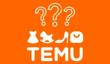 Temu Türkiye Ofisine Baskın Düzenlendi!