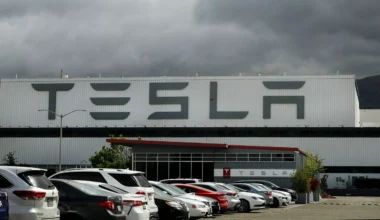 Tesla Devlete Dava Açtı!