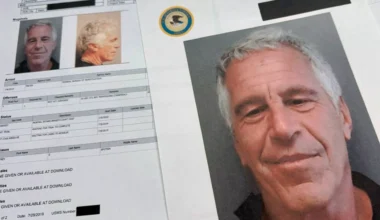 Ünlü Hacker Epstein’cı Çıktı!