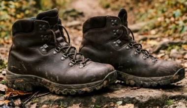 Erkek Bot Seçiminde Dikkat Edilmesi Gerekenler