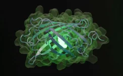 OpenAI’dan Biyoloji Uzmanı Yapay Zeka: GPT-Rosalind