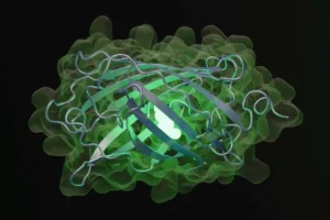 OpenAI’dan Biyoloji Uzmanı Yapay Zeka: GPT-Rosalind