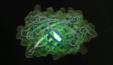 OpenAI’dan Biyoloji Uzmanı Yapay Zeka: GPT-Rosalind