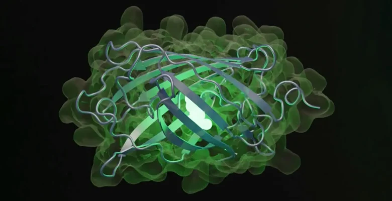 OpenAI’dan Biyoloji Uzmanı Yapay Zeka: GPT-Rosalind