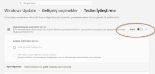 Windows İnternetinizi Sömürüyor!
