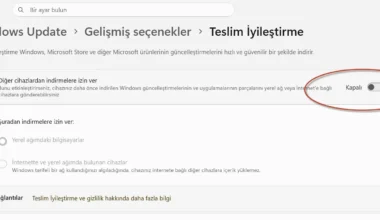 Windows İnternetinizi Sömürüyor!