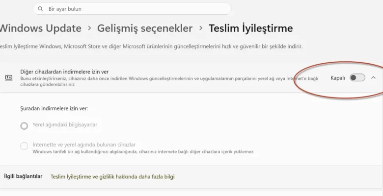 Windows İnternetinizi Sömürüyor!