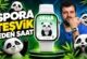 Huawei Watch Fit 5 ve Fit 5 Pro İnceleme – Panda ile Egzersiz