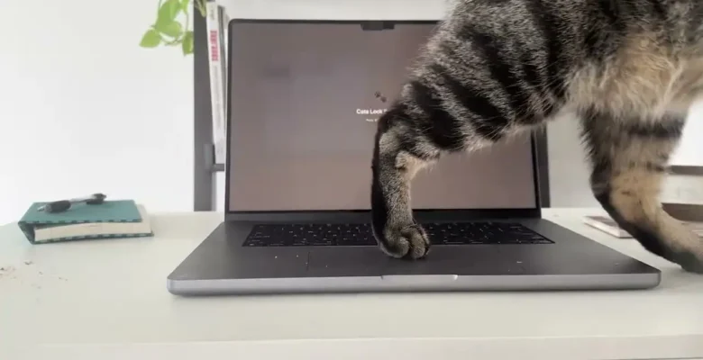 Kedi Sahibi Mac Kullanıcılarına İlaç Gibi Uygulama