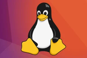 Linux Kullananlar Dikkat: Kritik Root Açığı Bulundu