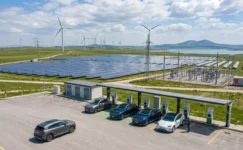 Türkiye Elektrikli Araç Sayısı Rekor Kırdı: 440 Bin Sınırı Aşıldı