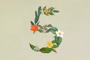 Anthropic Claude Sonnet 5 Tanıtıldı – AI Seviye Atladı