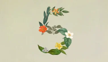 Anthropic Claude Sonnet 5 Tanıtıldı – AI Seviye Atladı
