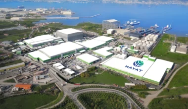 Hayat Kimya, 65 Milyon Dolarlık Enerji Bütçesini Kendi Geliştirdiği Yapay Zekâyla Yönetiyor