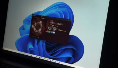 Windows 11 Üzerindeki Ubuntu Kullanımı Rekor Seviyeye Ulaşıyor